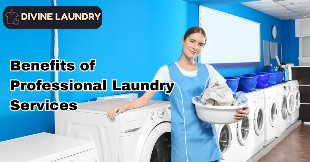 professional laundry services